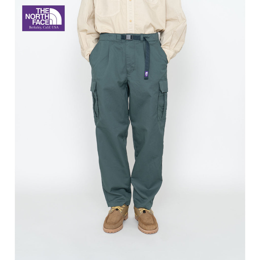 The north face discount alphabet city cargo pants